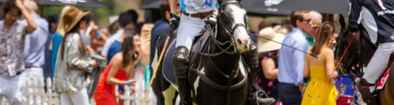 Polo_Crowd_2