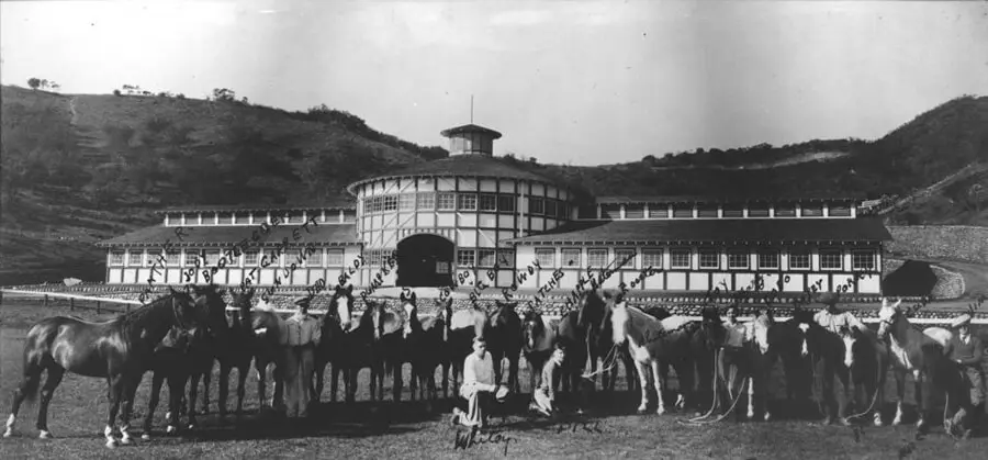 will_rogers_horses
