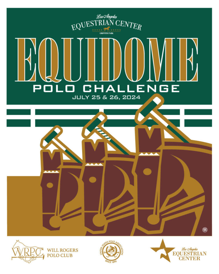 Equidome_poster